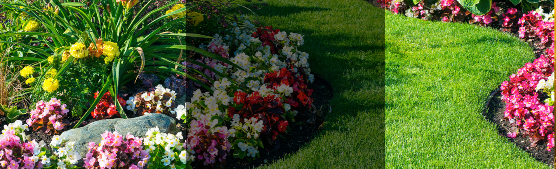 lorem ipsum dolor sit