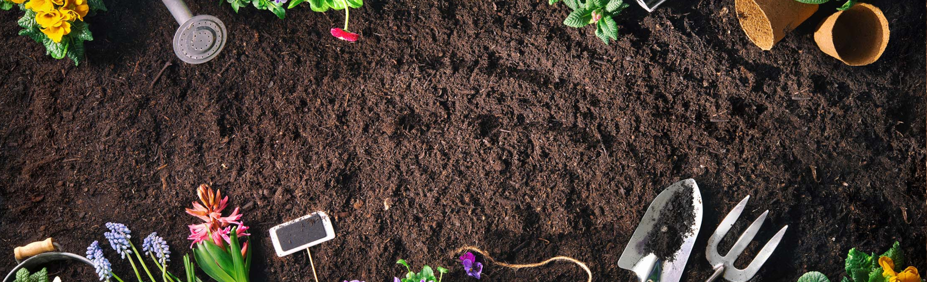 lorem ipsum dolor sit